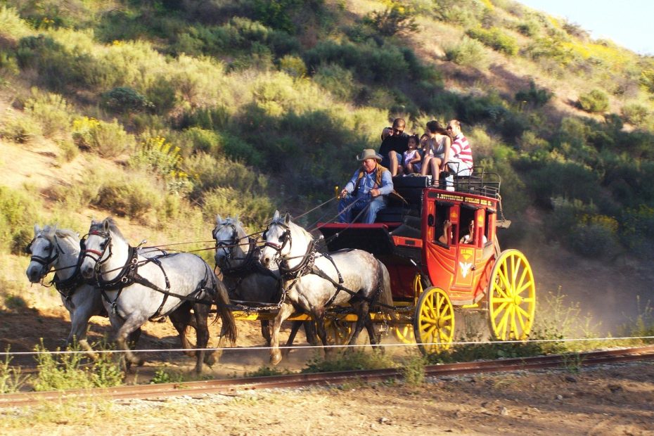 1800 8282에 대해 알아보자