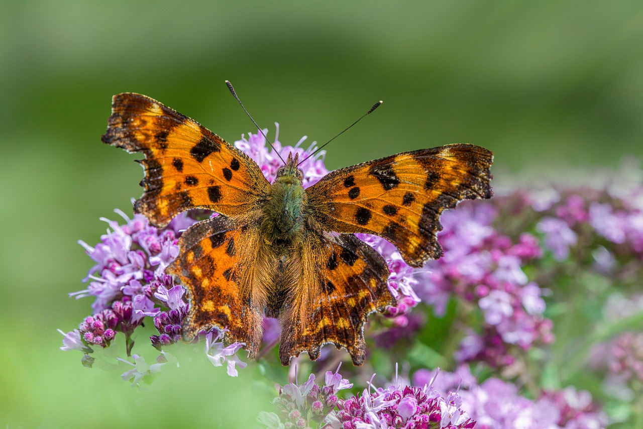 구리 cgv 상영시간표