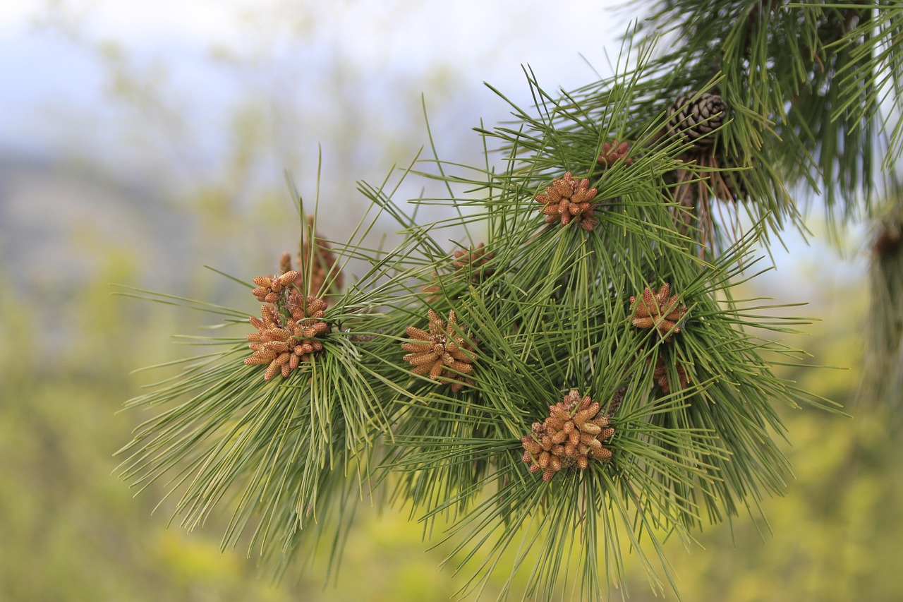 포항 cgv 상영시간표