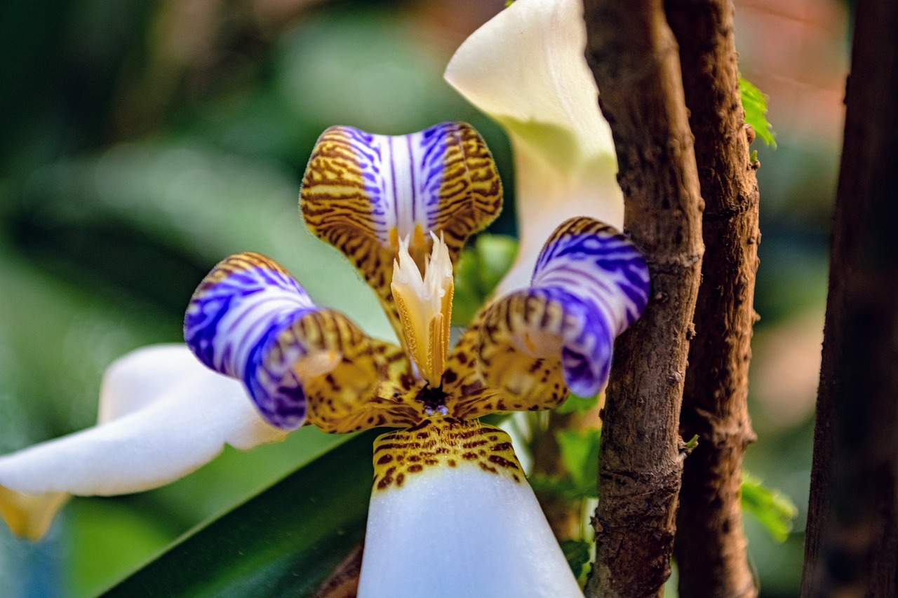 넷플릭스 성인인증