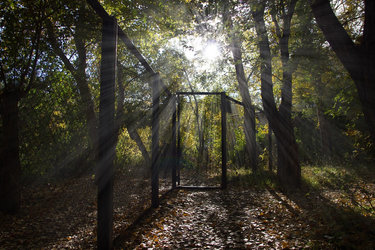국민은행 통장사본 출력