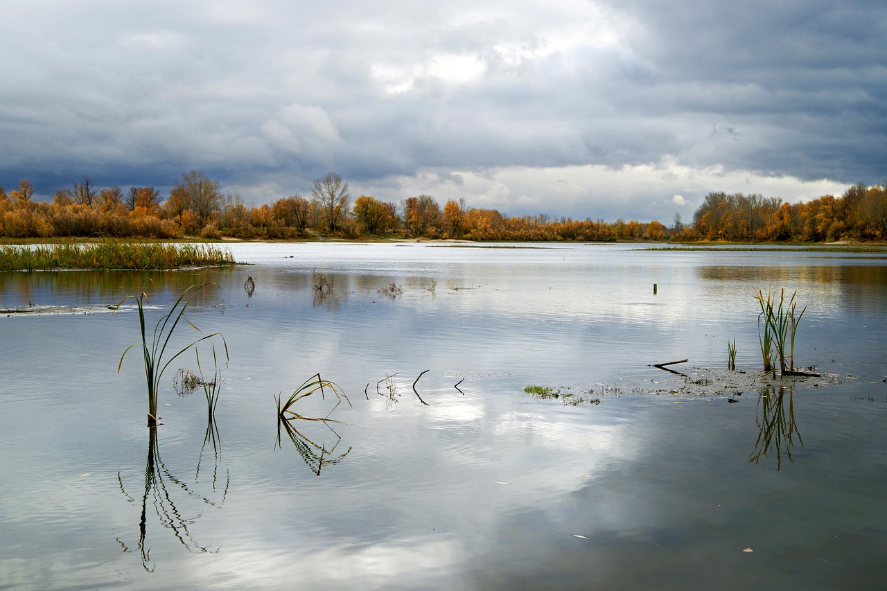 obs studio 검은화면