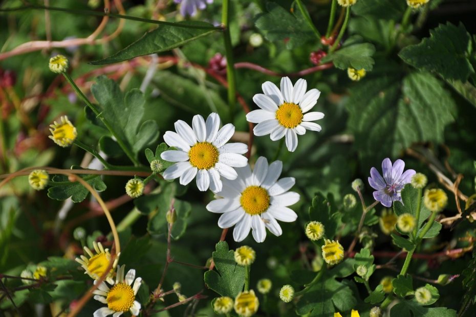 URL 단축의 효과적인 활용법 알아보자