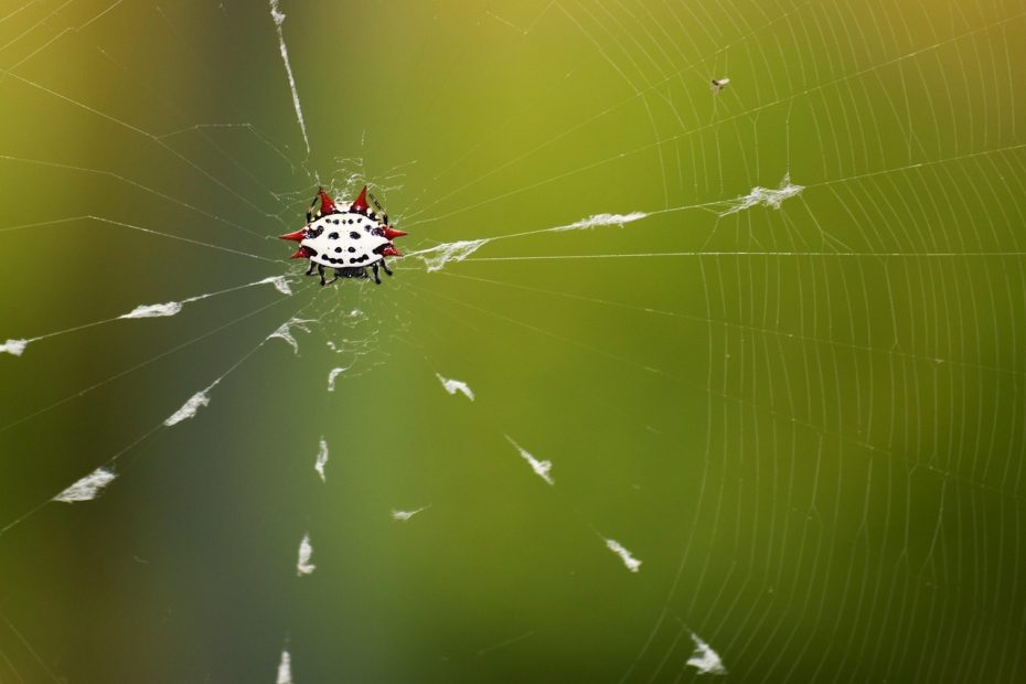 담양군청 구인구직 정보 알아보자