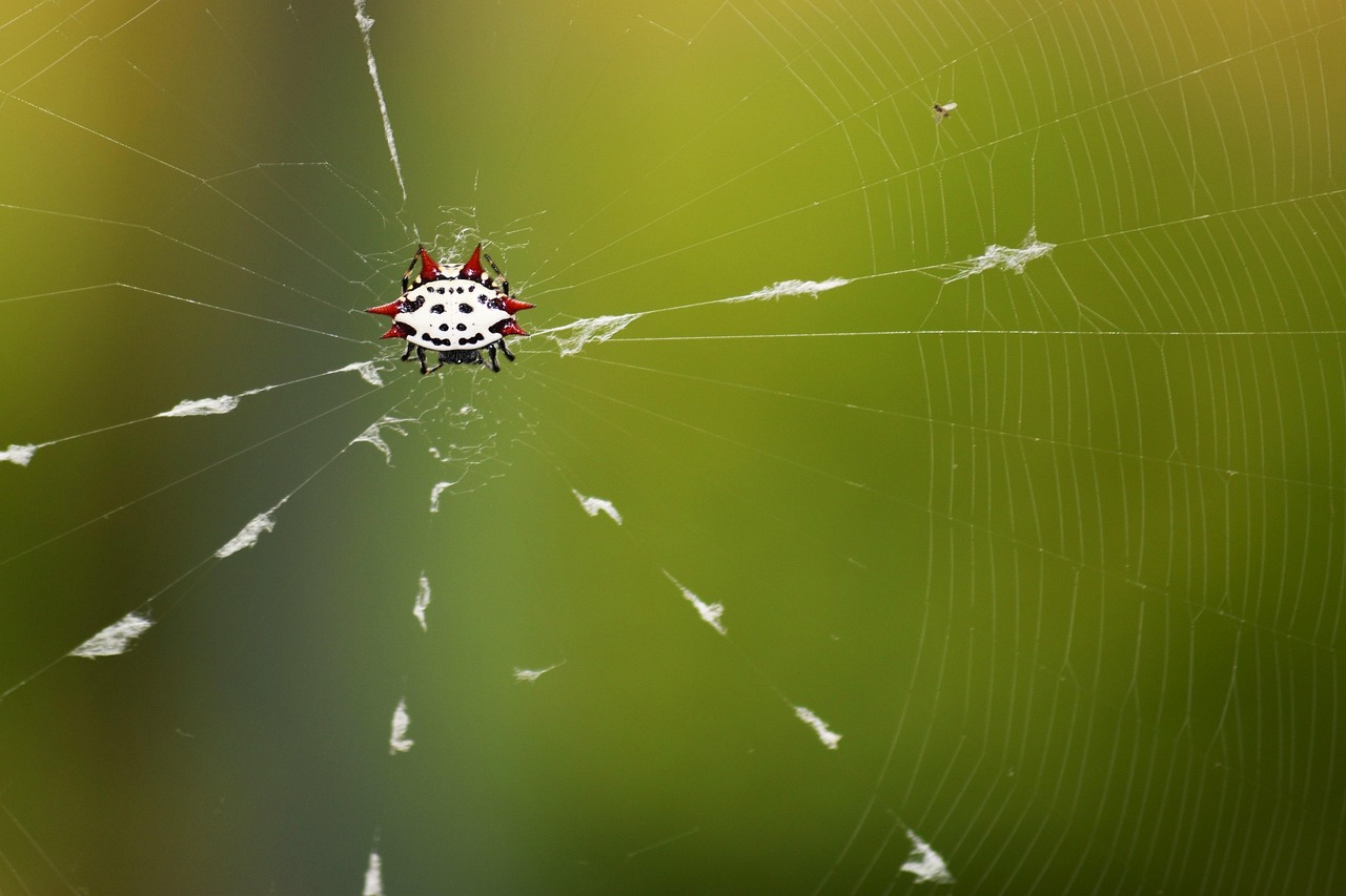 담양군청 구인구직 정보 알아보자