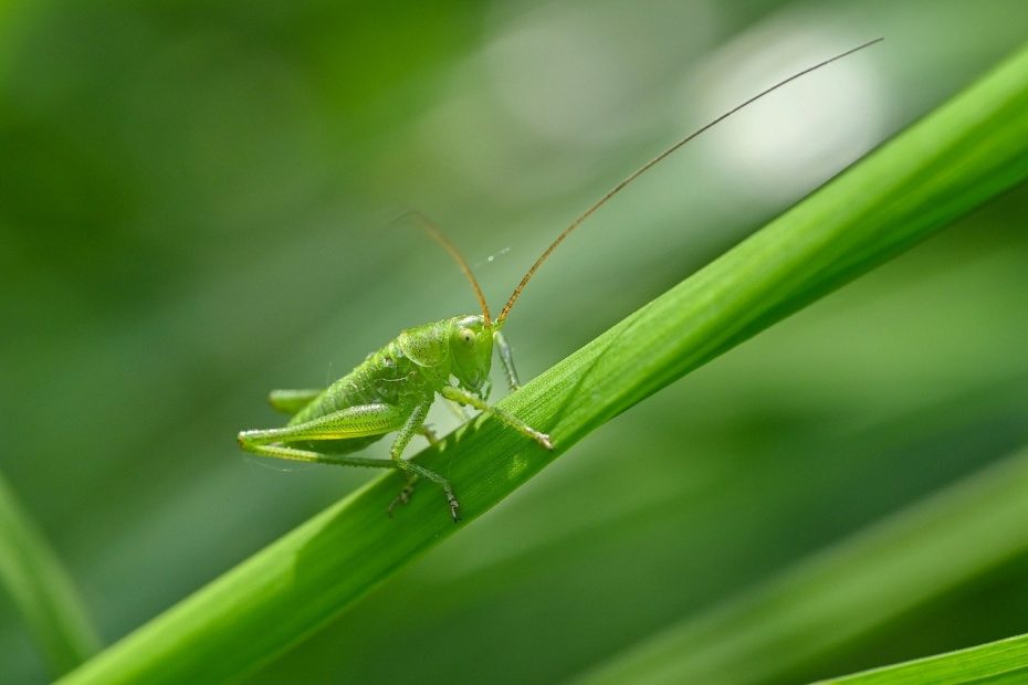 동양생명 고객센터 이용 꿀팁 알아보자