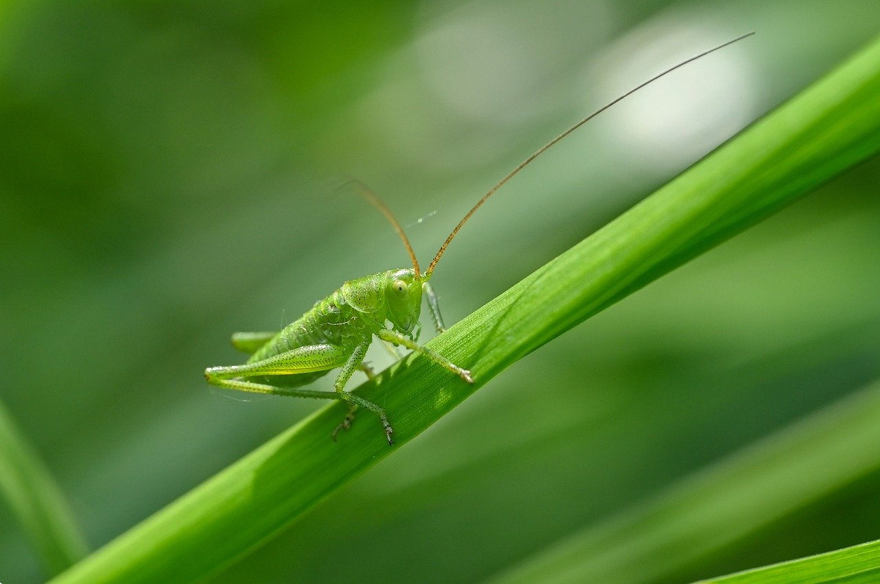 동양생명 고객센터 이용 꿀팁 알아보자