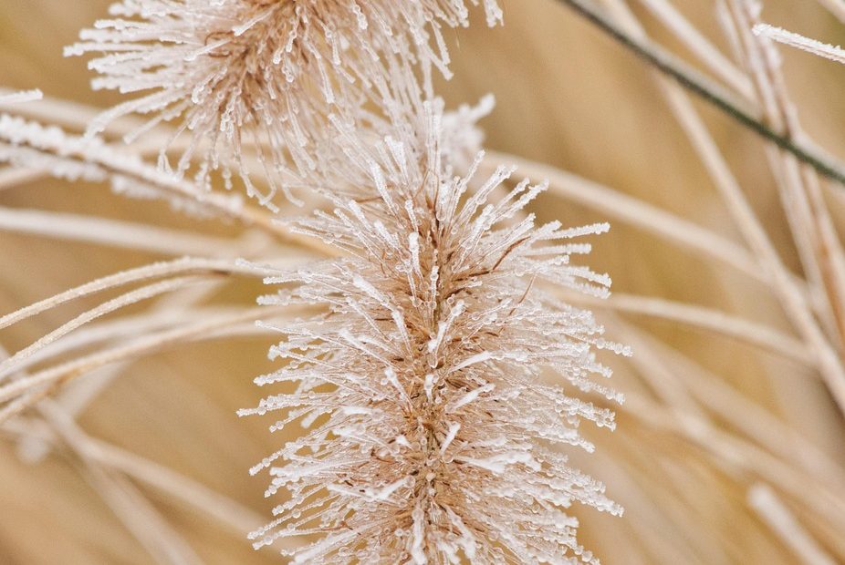 모바일 티머니 사용 꿀팁 알아보자