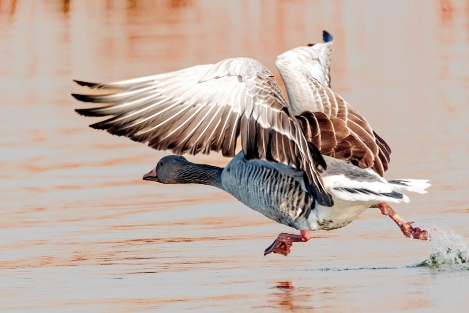 무좀이 옮는 경로 알아보자