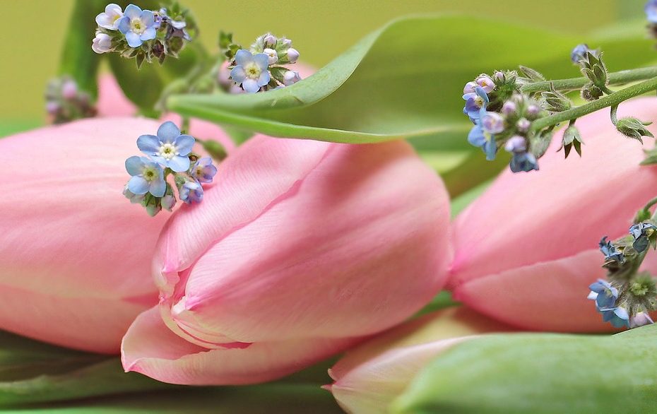 상가집 인사말에 대한 알아봅시다