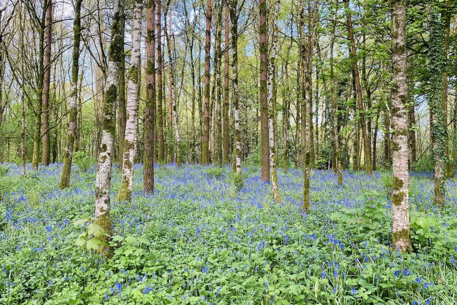 생리피 지우는 꿀팁 알아보자