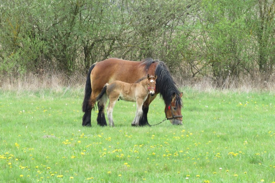 엠자손금을 활용하는 효과적인 방법 알아보자