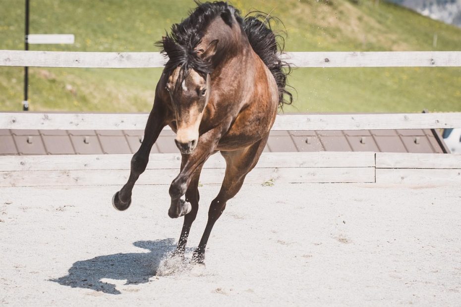 체하다와 채하다 구분하는 꿀팁