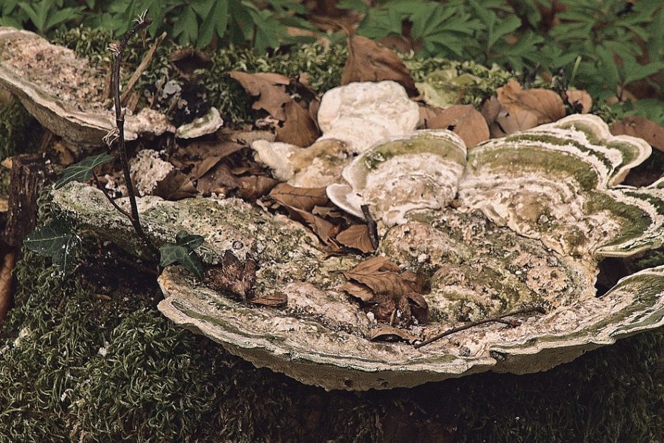 틴더에서 FWB를 성공적으로 맺는 꿀팁