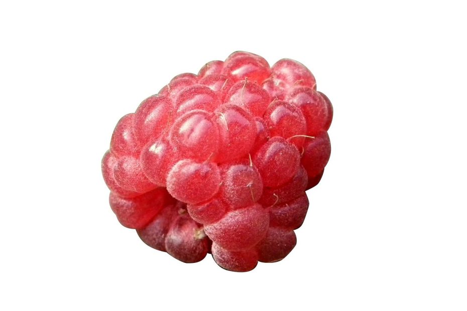 페북 차단 해제하는 4가지 방법 알아보자