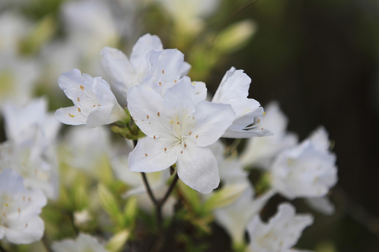 포항 CGV 상영시간표 쉽게 확인하는 방법