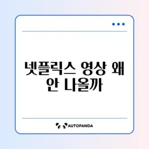넷플릭스 검은 화면 소리만 나옴 (하드웨어 가속)