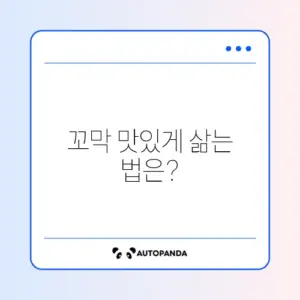 꼬막 삶는 법과 양념장 완벽 가이드 알아보기