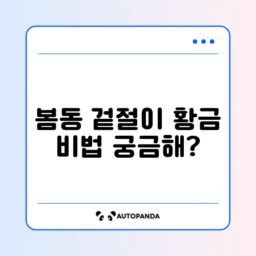 봄동 겉절이 쉽게 만드는 법 알아보기