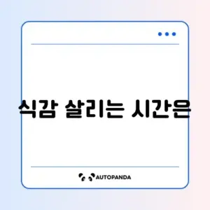 양배추 쌈 삶는 시간