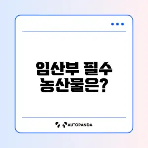 임산부를 위한 친환경 농산물 꾸러미 완벽 가이드