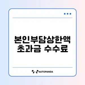 본인부담상한액 초과금 수수료 단계별