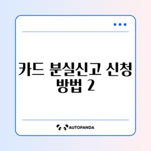 카드 분실신고 신청 방법 2026