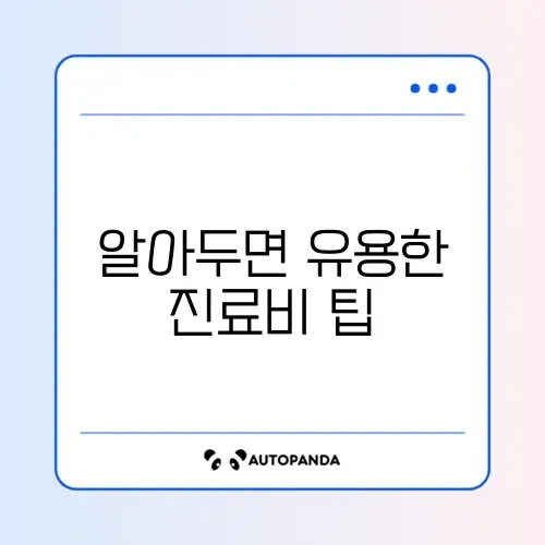 동물병원 진료비 가격 완벽 정리 가이드