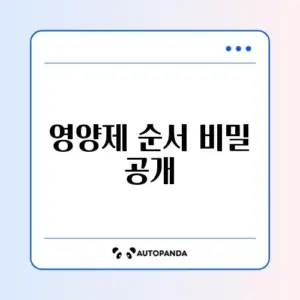 영양제 복용 순서 완벽 정리 체크리스트 알아보기