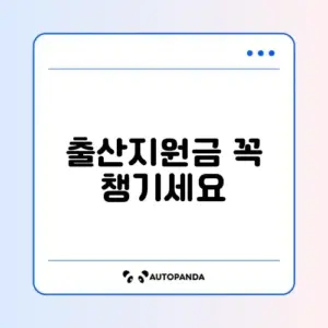 출산지원금 신청 조건과 단계별 방법 완벽 정리