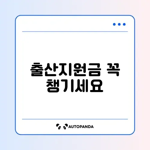 출산지원금 신청 조건과 단계별 방법 완벽 정리