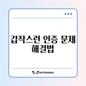 PASS 2단계 인증 막힐 때 빠르게 해결하는 완벽 가이드