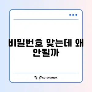 카카오T 비밀번호는 맞는데 로그인 실패 해결 방법 완벽 정리