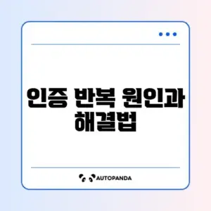 카카오톡 인증 화면이 반복될 때 해결 방법 완벽 정리
