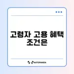 고령자 계속고용장려금 신청 조건 완벽 정리 가이드