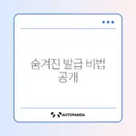 국가유공자 복지카드 발급 꿀팁과 방법 완벽 정리