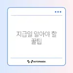 국가유공자 보훈급여금 지급일 완벽 정리 가이드
