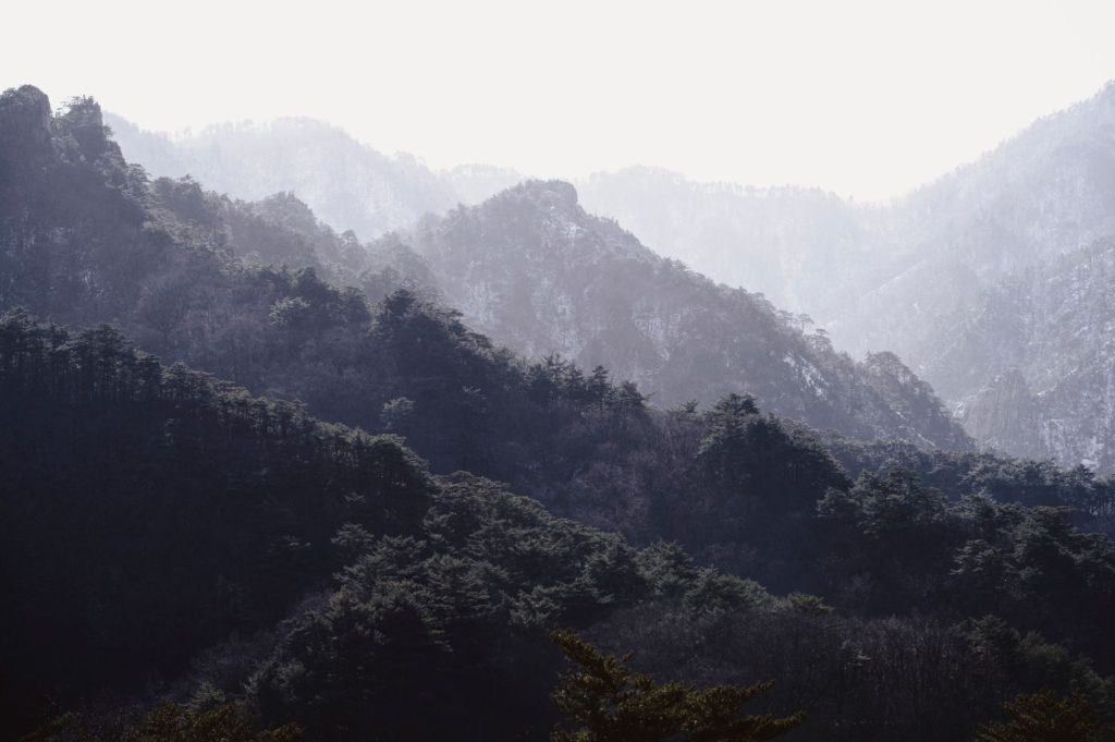 고용보험 가입이력 조회하는 방법 알아보자