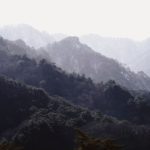 고용보험 가입이력 조회하는 방법 알아보자